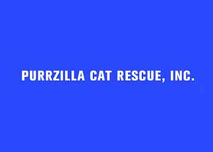 Purrzilla Cat Rescue