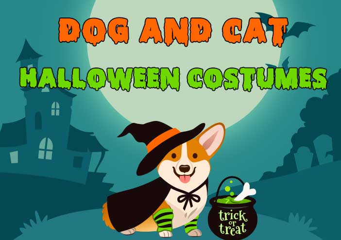 Pet Dog Cat Halloween Costumes