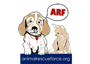 Animal Rescue Force of South Florida
