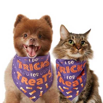 I do tricks for treats Dog Cat Halloween Costume