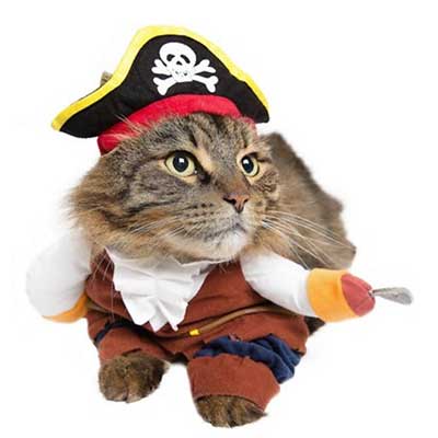 Pirate Dog & Cat Halloween Costume