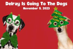 Delray's Paw-some Extravaganza: A Festive Day for Pets and Pet Lovers!
